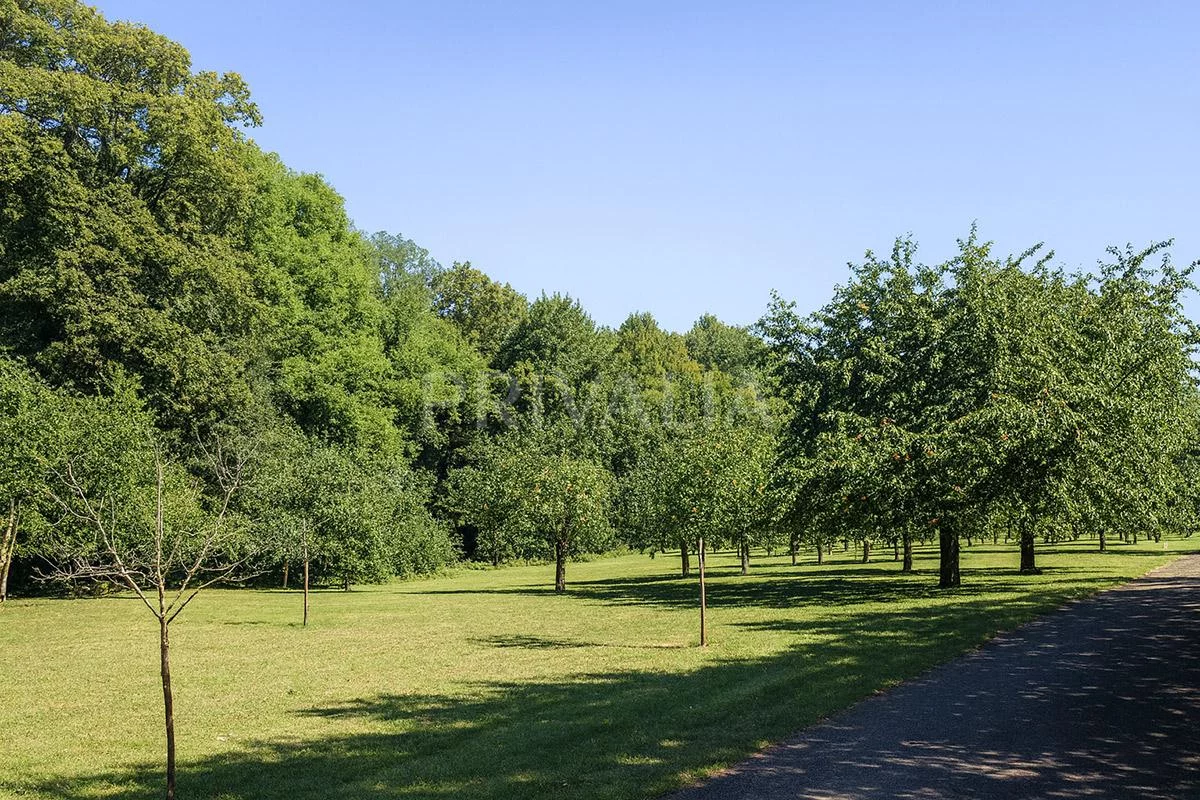 Magnifique propriété de Maître