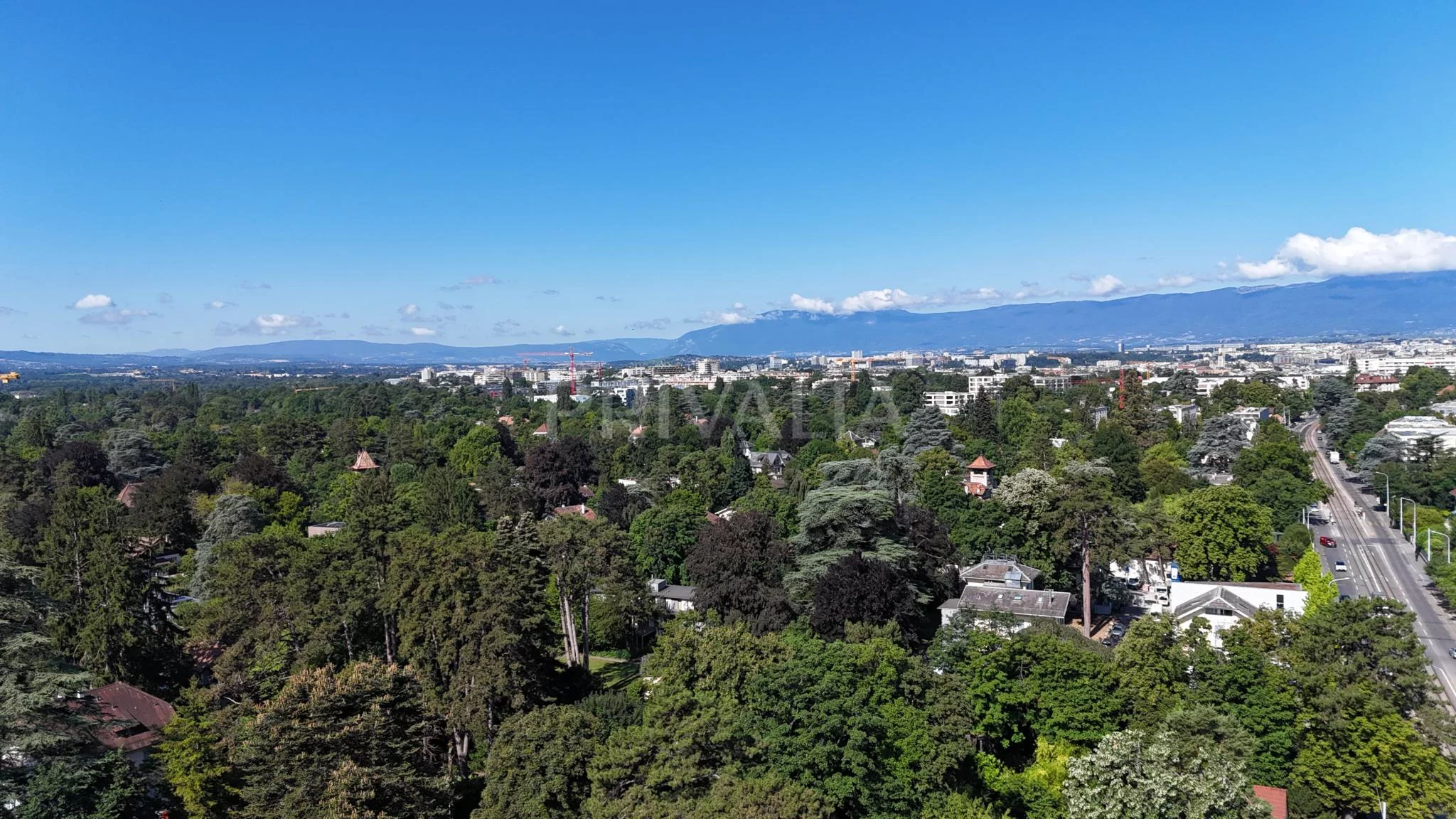 Magnificent offices in a private mansion in Chêne-Bougeries
