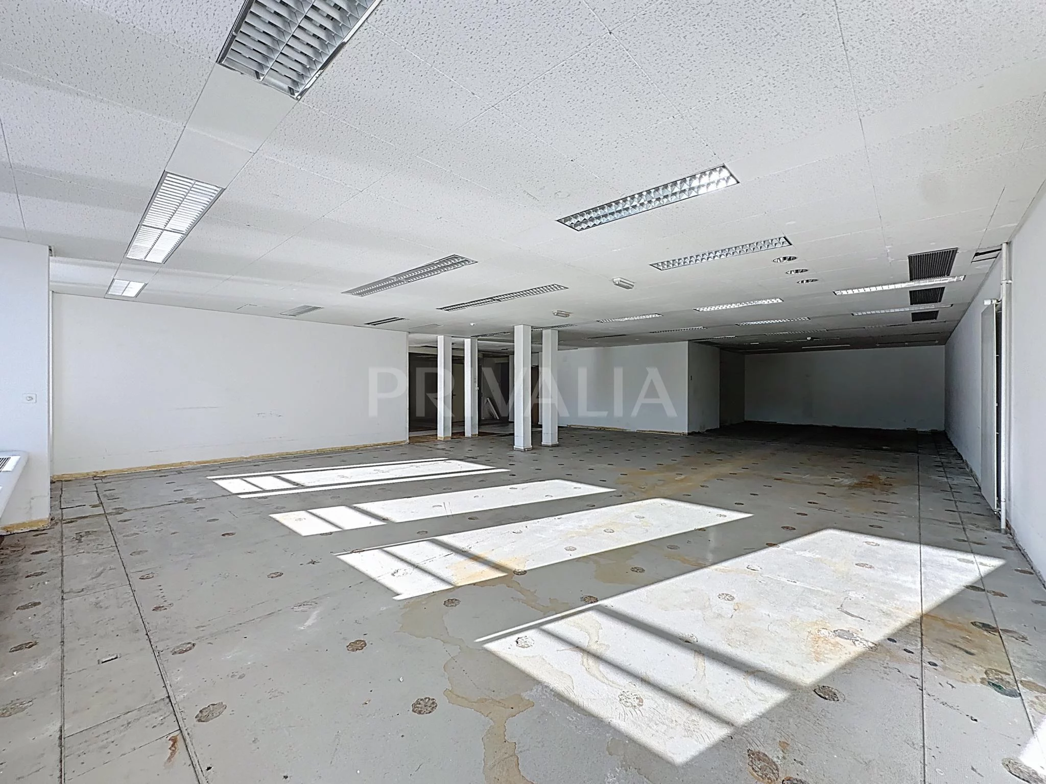 New opportunity : Spacious offices with exceptional views of the Rhône