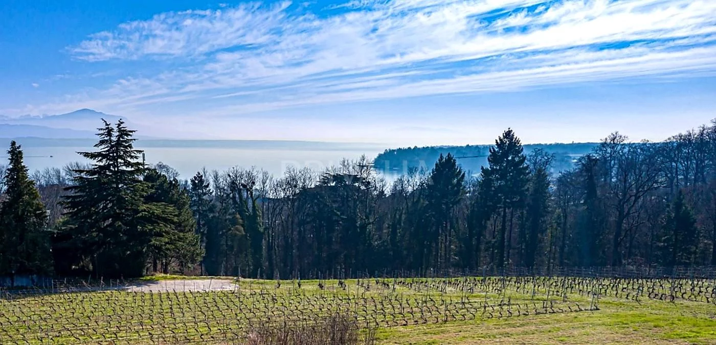 New development : Exceptional contemporary property with panoramic lake views in Dully