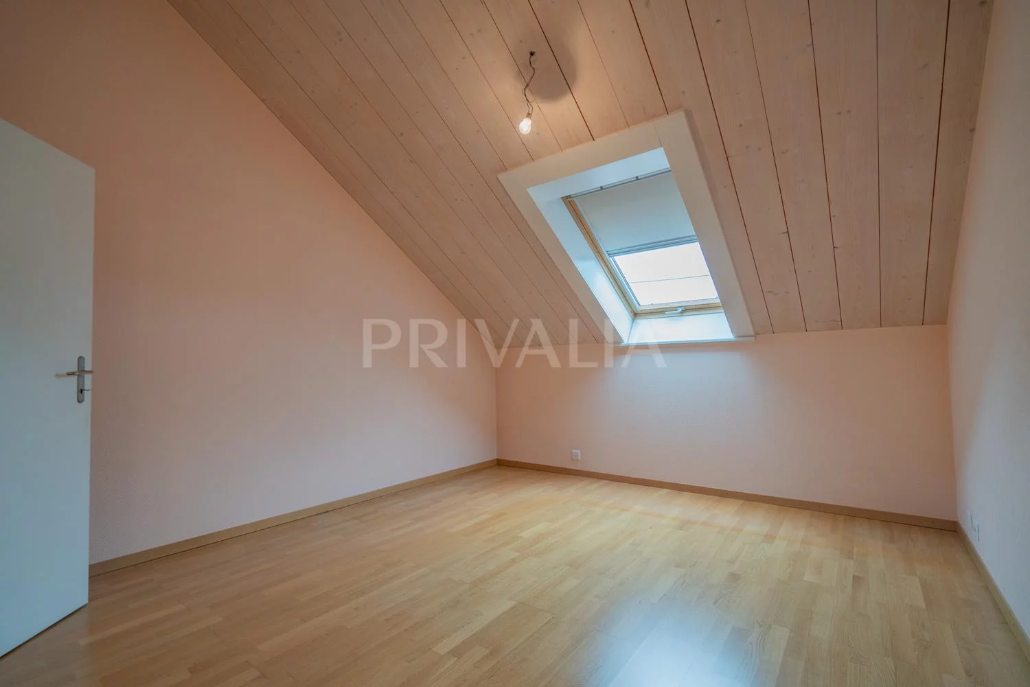 Superb bright flat in the heart of Bernex