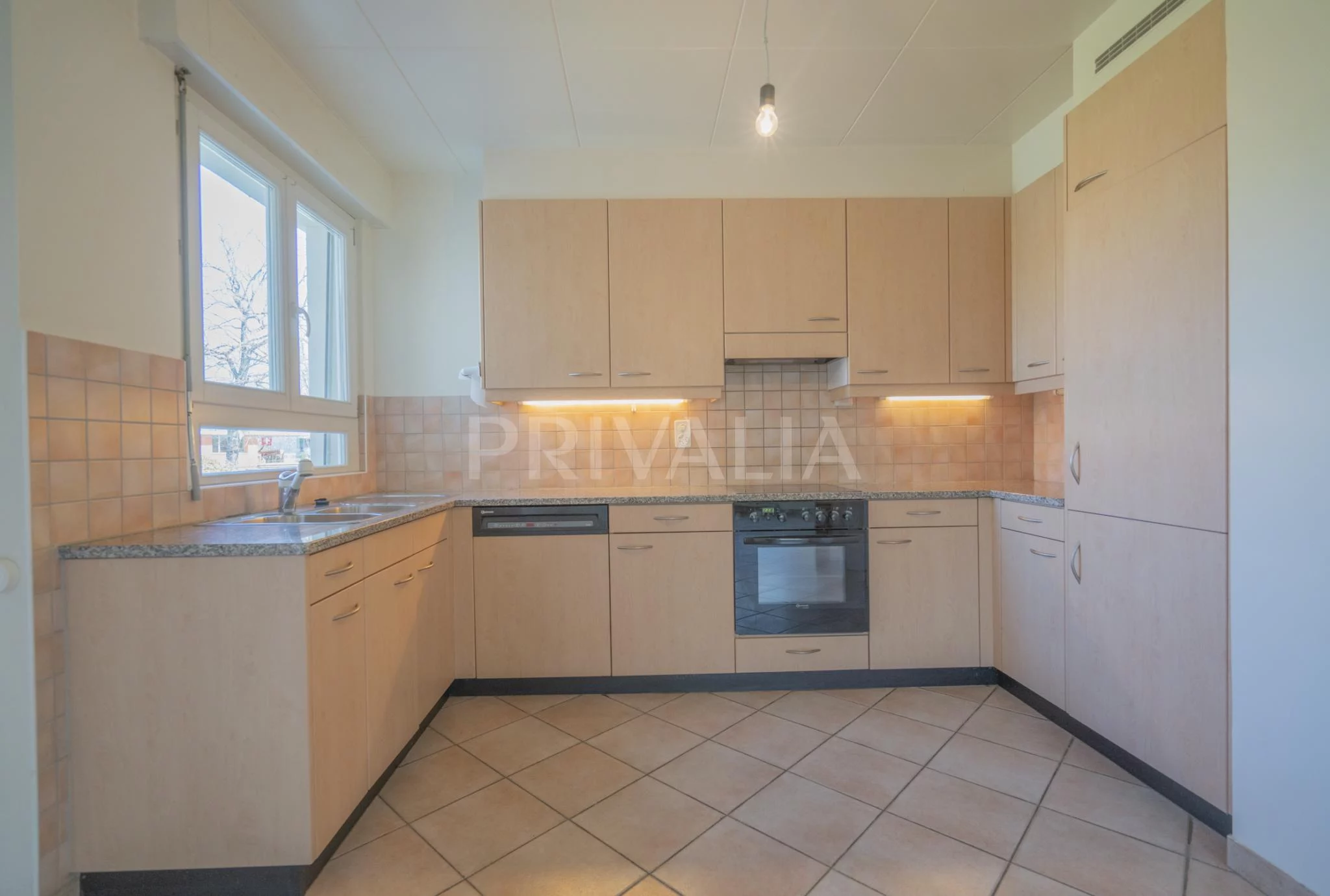 Beautiful single villa with garden in the heart of the Geneva countryside