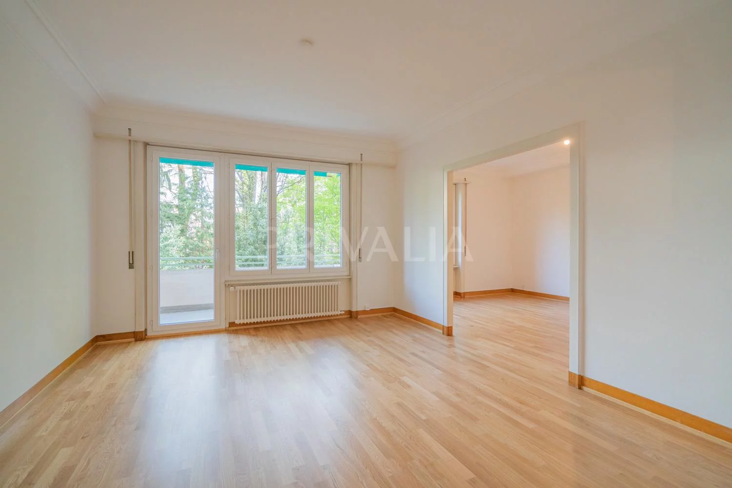 Bel appartement traversant au coeur de Malagnou