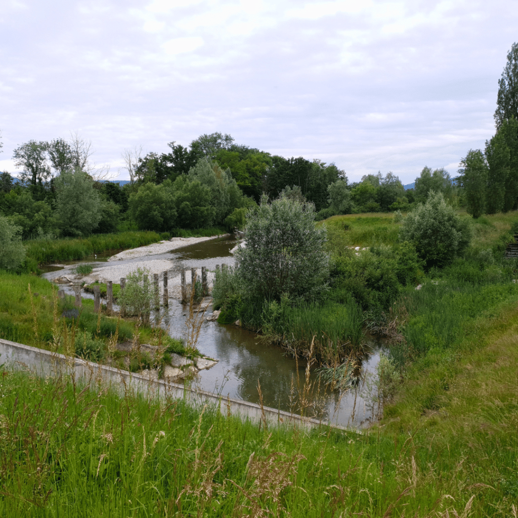 Image Privalia partenaire
