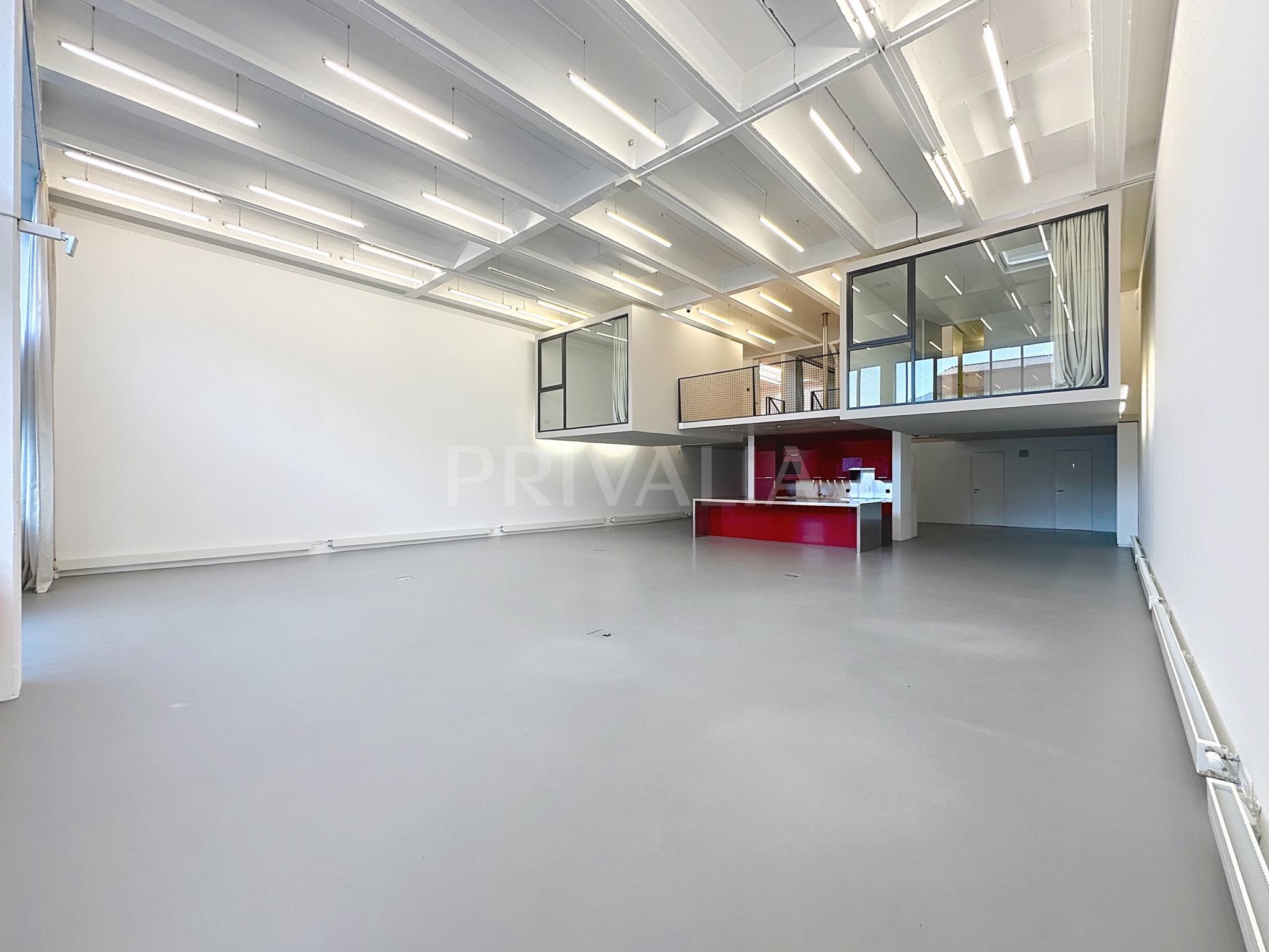 PrivaliaÀ ne pas manquer : Loft commercial de 390 m2 avec terrasse privative !