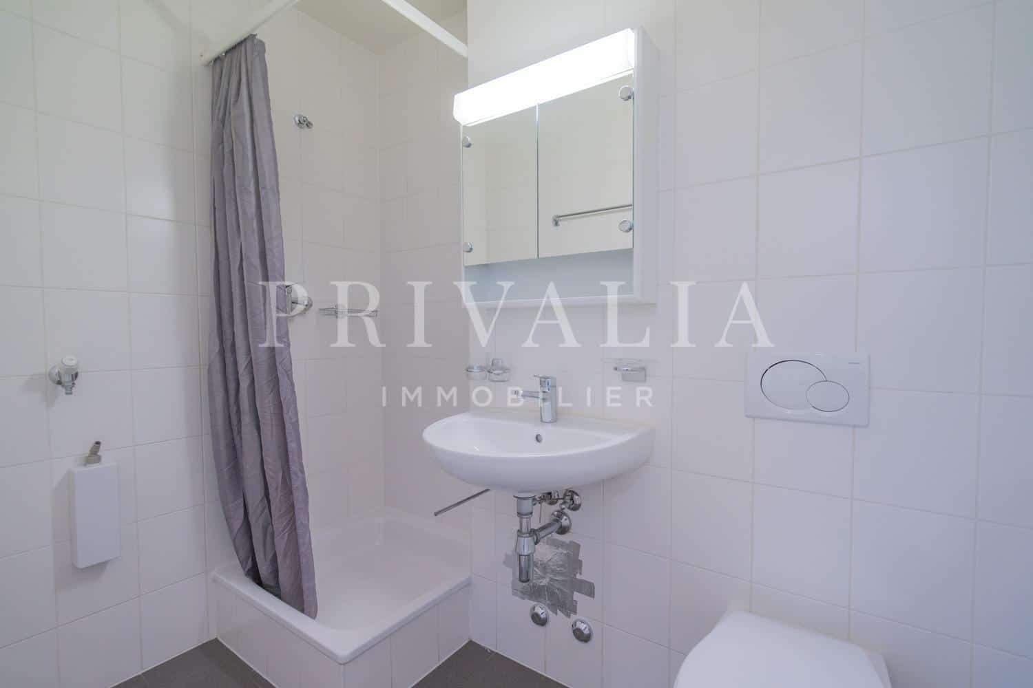 PrivaliaBel appartement de 5 pièces à proximité des Organisations Internationales